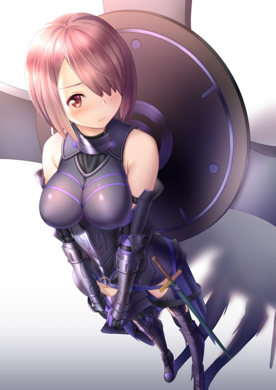 mash kyrielight+hoshino miyako (wataten)