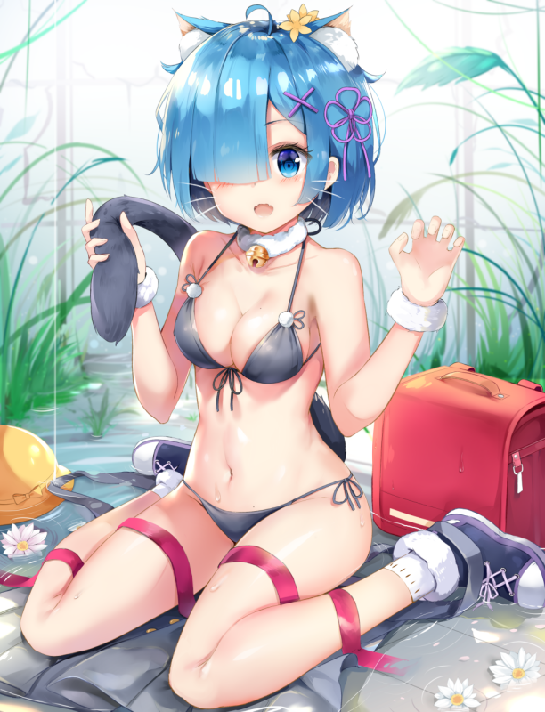 rem (re zero)