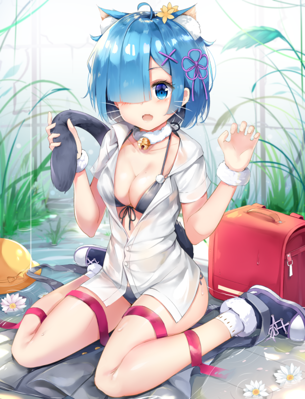 rem (re zero)