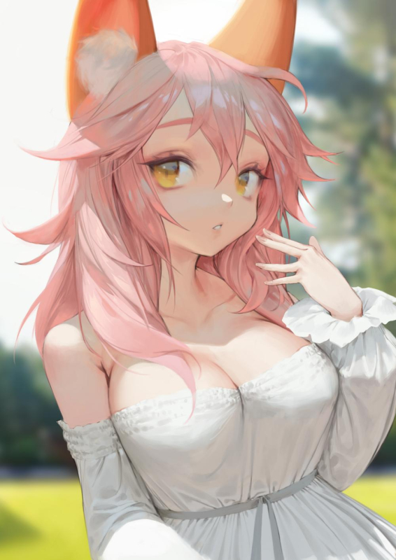 tamamo (fate) (all)+tamamo no mae (fate)