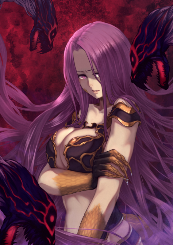 rider+gorgon (fate)