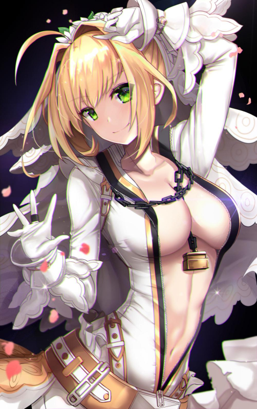 nero claudius (fate) (all)+nero claudius (bride) (fate)