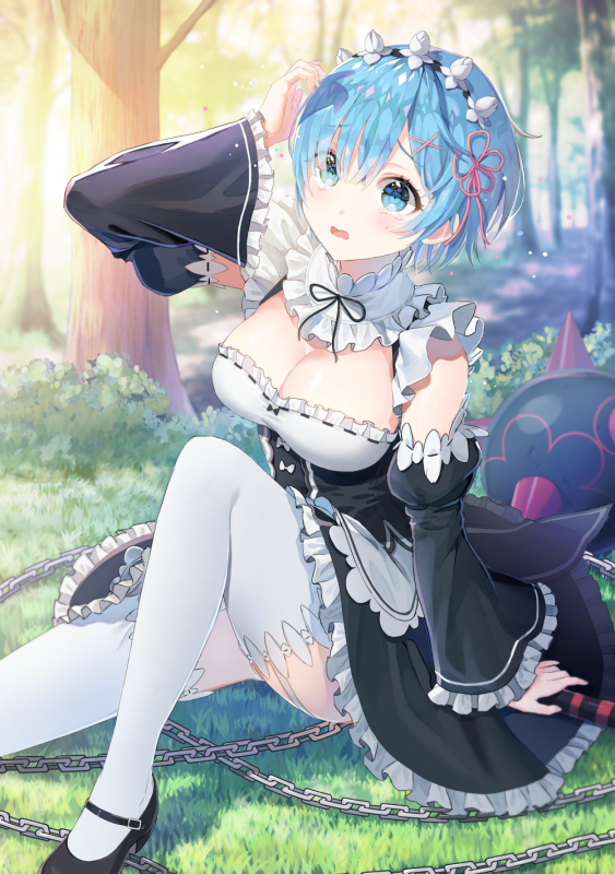 rem (re zero)