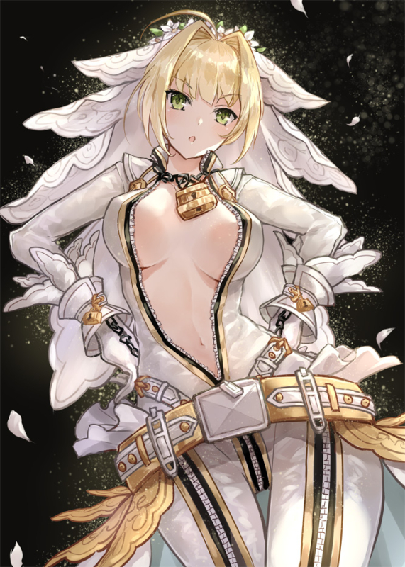 nero claudius (fate) (all)+nero claudius (bride) (fate)