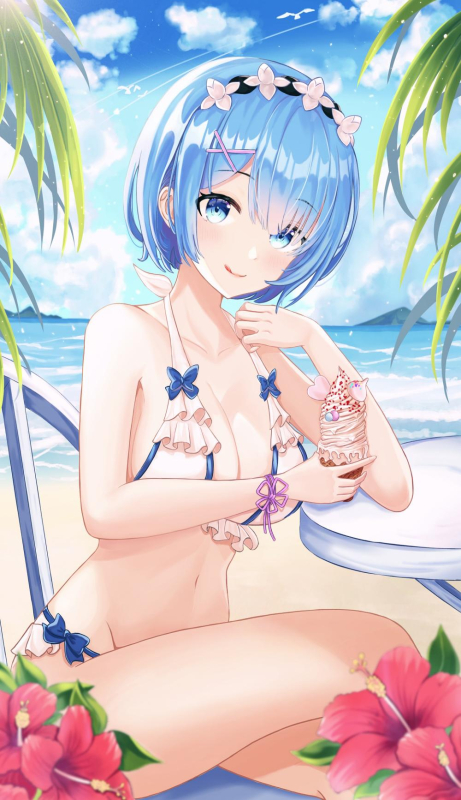 rem (re zero)