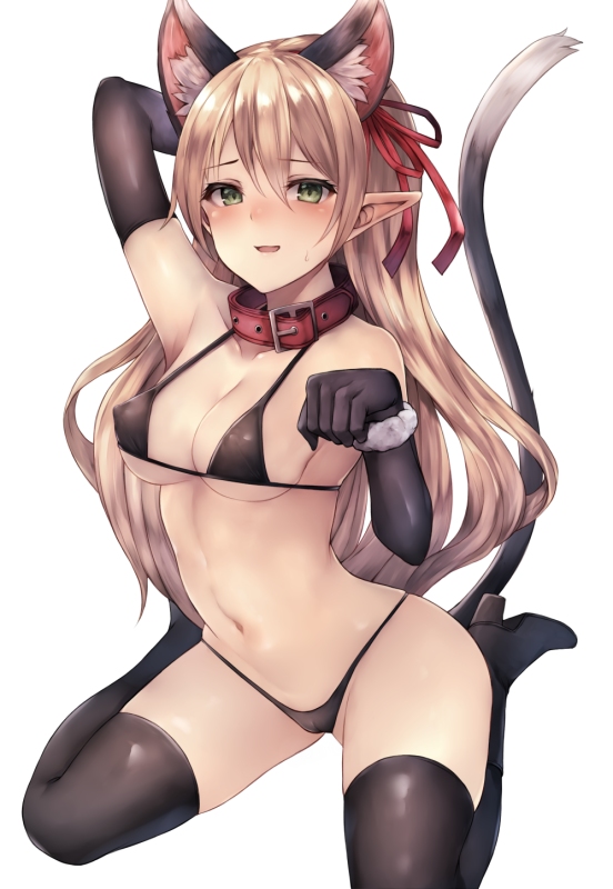 arisa (shadowverse)