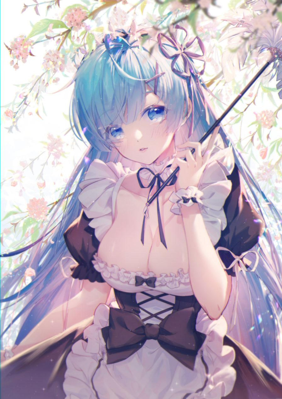 rem (re zero)