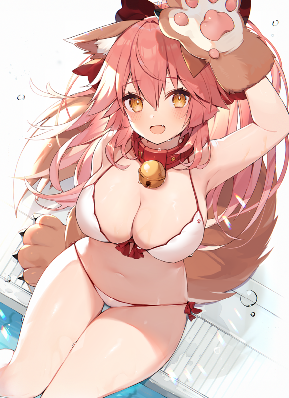 tamamo (fate) (all)+tamamo cat (fate)