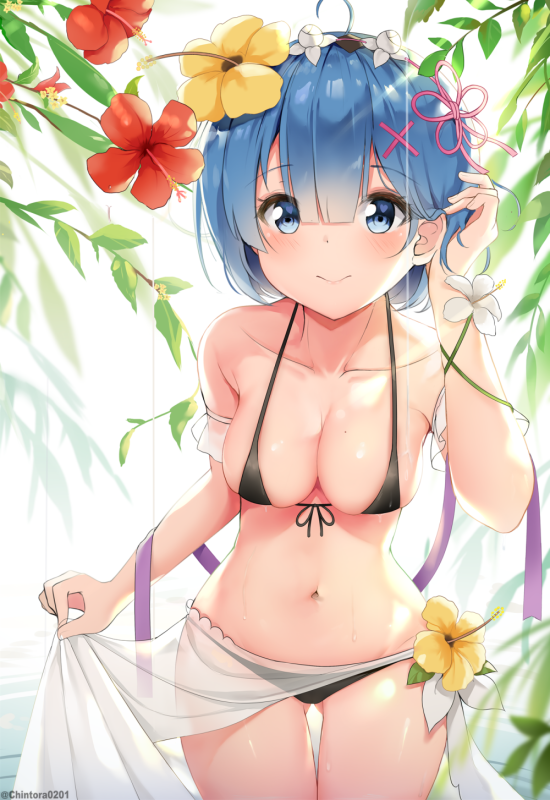rem (re zero)