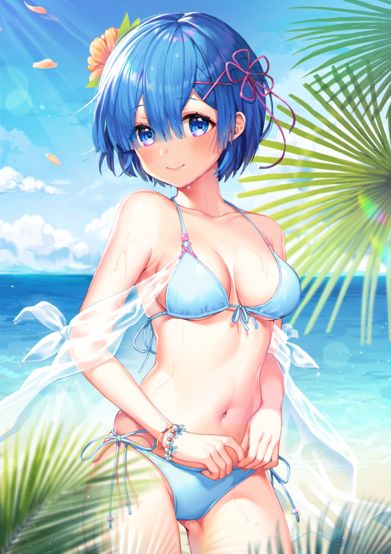 rem (re zero)