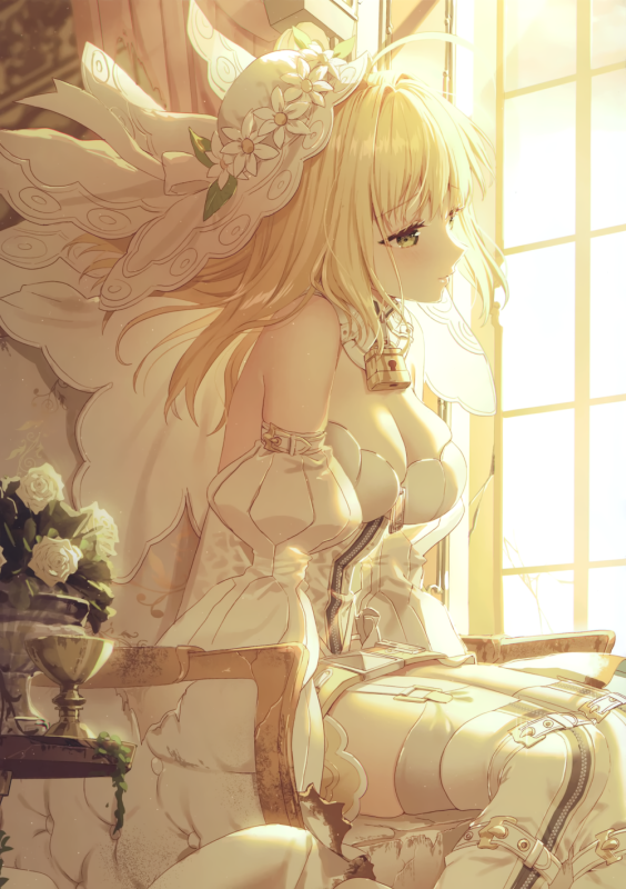 nero claudius (fate) (all)+nero claudius (bride) (fate)