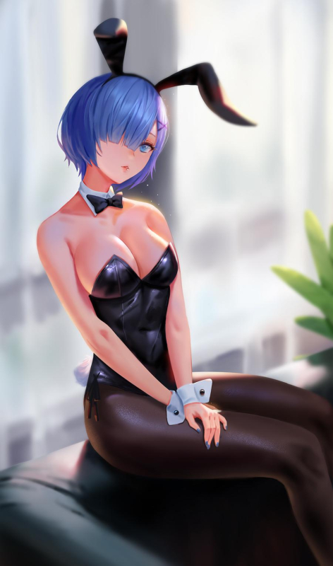 rem (re zero)