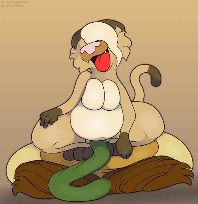 gatto (kitty pride)+the doubt (kitty pride)