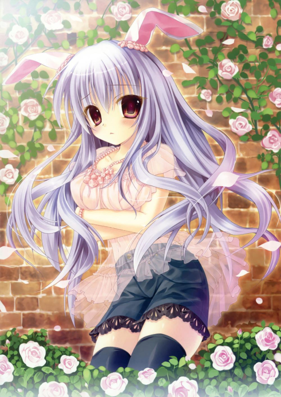 reisen udongein inaba