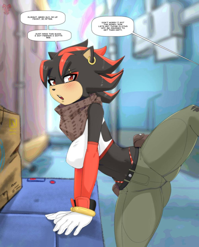 shadow the hedgehog